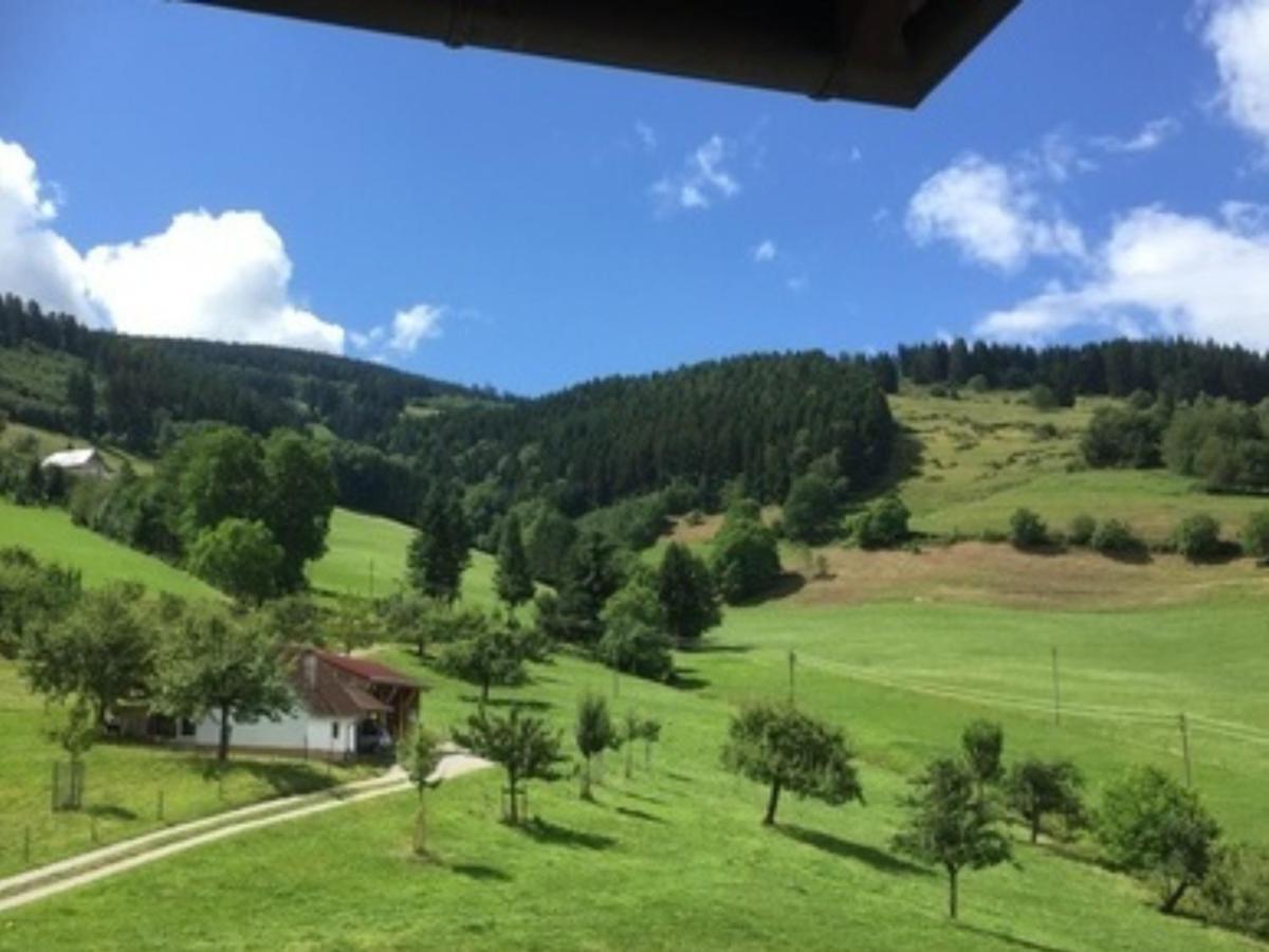Ferienwohnungen Maierhof Oberried 오베리드 외부 사진