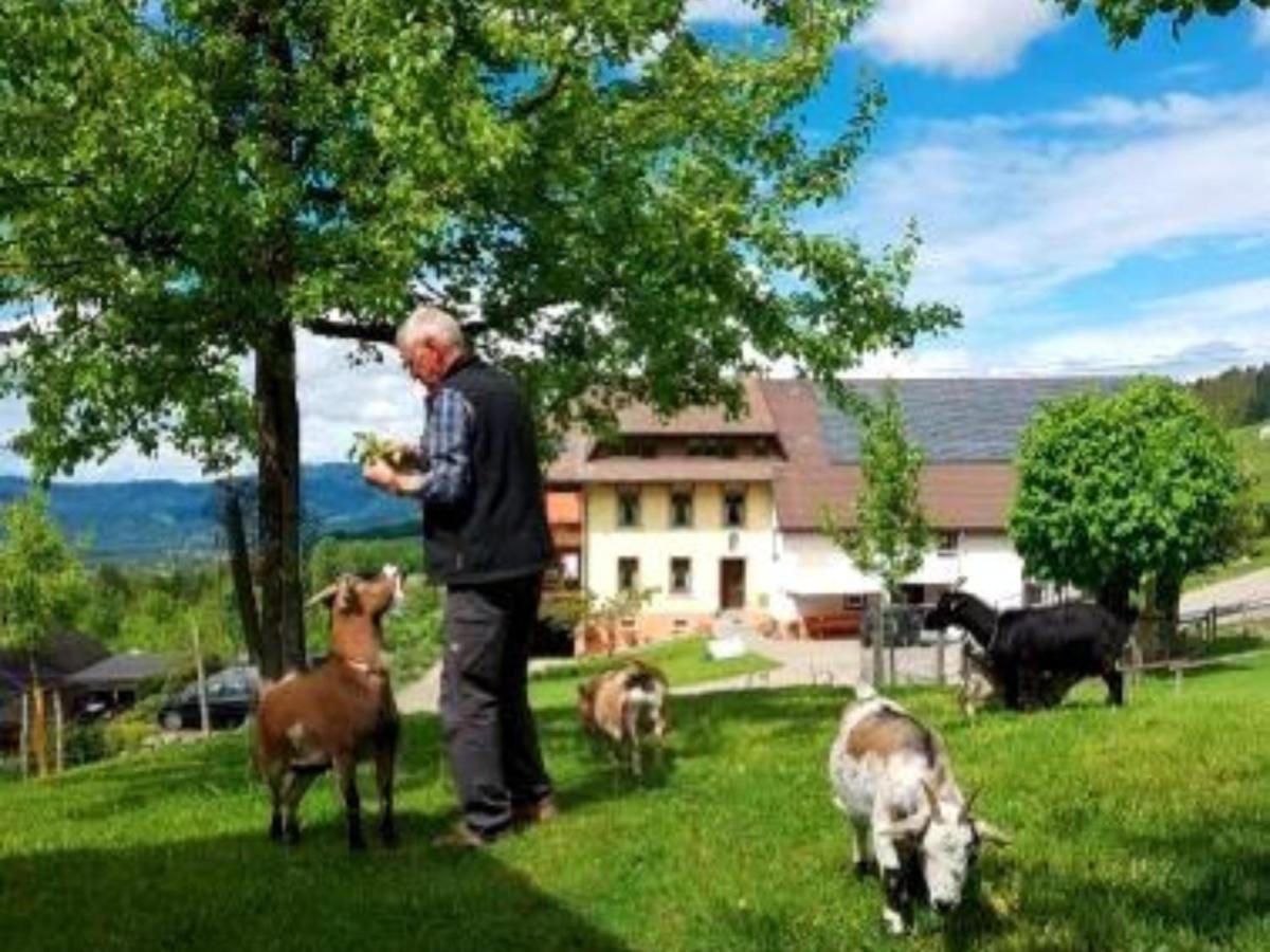 Ferienwohnungen Maierhof Oberried 오베리드 외부 사진