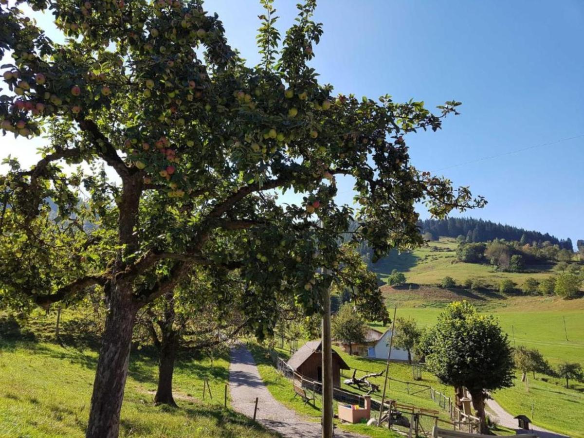 Ferienwohnungen Maierhof Oberried 오베리드 외부 사진