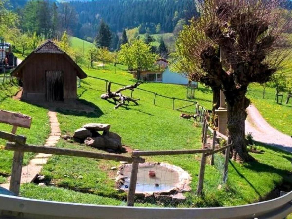Ferienwohnungen Maierhof Oberried 오베리드 외부 사진