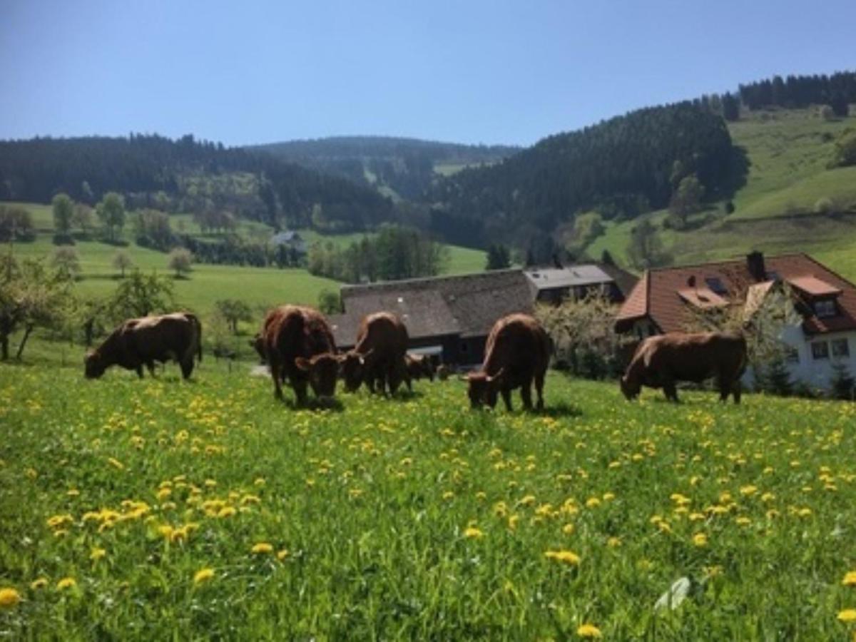Ferienwohnungen Maierhof Oberried 오베리드 외부 사진